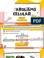 Metabolismo Celular