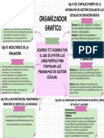 Organizador Gráfico