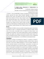 Mobilidade Do Trabalho - Claudinei Lourenço