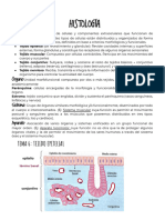 Wuolah Free Bloque 2 Histologia