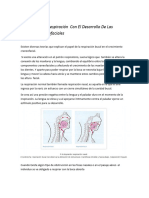 Existen Diversas Teorías Que Explican El Papel de La Respiración Bucal en El Crecimiento Craneofacial