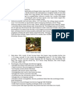Download Penebangan Kayu Secara Liar by Pamungkas Dtri Nugroho SN68294579 doc pdf