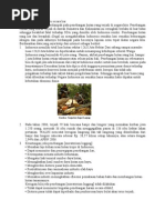 Download Penebangan Kayu Secara Liar by Pamungkas Dtri Nugroho SN68294579 doc pdf