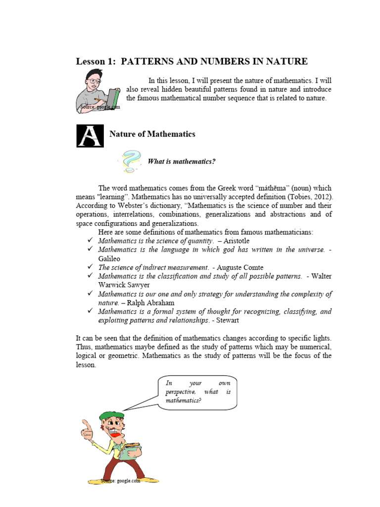 Patterns and Numbers in Nature | PDF | Pattern | Mathematics
