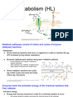 8.1 Metabolism (HL)