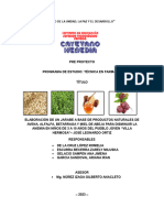 Pre Proyecto PDF L