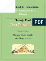 Trabajo Final - Tiro Parabólico