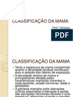 Classificação Da Mama