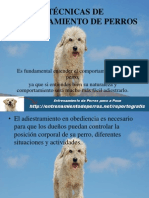 TÉCNICAS DE ENTRENAMIENTO DE PERROS 