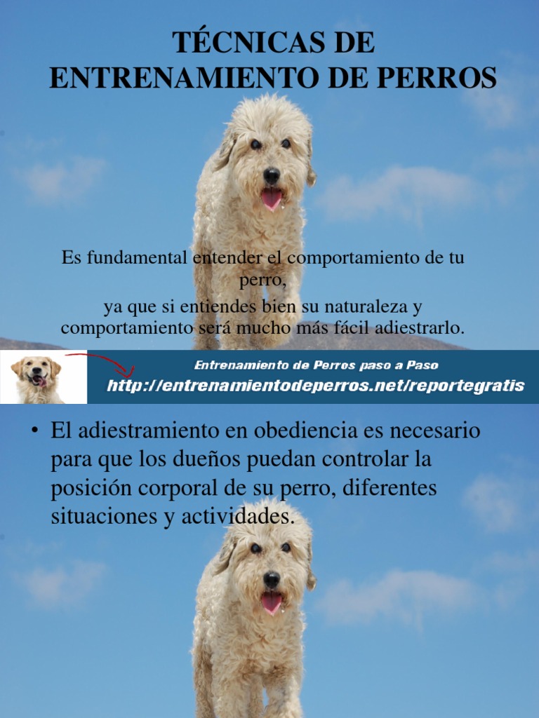 Técnicas de Adiestramiento Canino | PDF