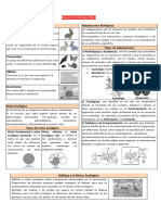 Resumen de Biología Rjal Pe2023