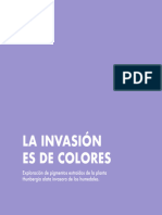 La Invasionesde Colores Proyecto Grado