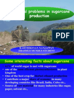 Ecological Problems in Sugarcane: Production