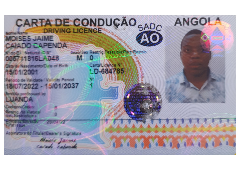 Carta De Condução Pdf