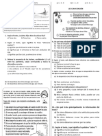 Ficha de Trabajo Comprension Lectora Tercer Grado Primaria