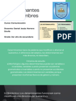 Determinantes y Pronombres 3er Año 1.2