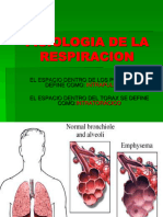 Fisiologia de La Respiracion