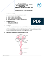 Neuroana Mod5 Int Cap and Limbic System