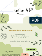 Presentación Centro de Estética Orgánico Verde