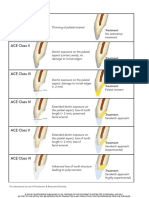1. Classification and Treatment of the Anterior Maxillary Dentition Affected by Dental Erosion. the ACE Classification
