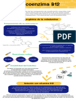 Infografia B12