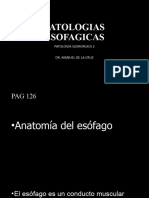 PQ2 Patologias Esofagicas