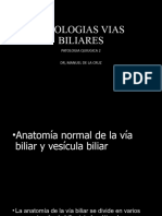 Pq2 Patologias Vias Biliares