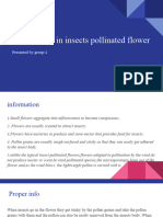 Adaptation in Insect Pollinated Flowers