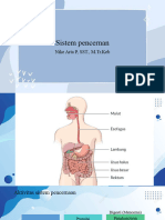 Sistem Pencernan