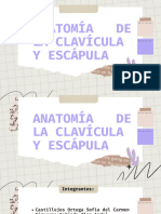 Clavícula y Escápula