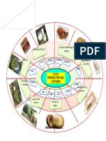 Ciclo Productivo Del Copoaazu