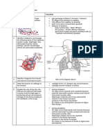 11.1 Gas Exchange in Humans Topic Checklist: Iden Fy in Diagrams The Internal and External Intercostal Muscles