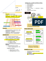 Hernias y Pato Anorectal