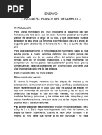 Ensayo Los 4 Planos Del Desarrollo