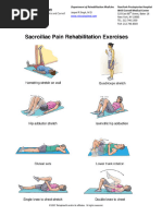 SI Joint Home Exercise Program | PDF | Pelvis | Musculoskeletal System