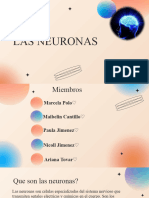 Tipos y funciones de las neuronas | PDF | Neurona | Sistema nervioso