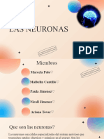 Mirror Neurons The Power of Imitation in The Learning Process Variant