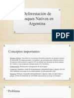 Deforestación de Bosques Nativos en Argentina