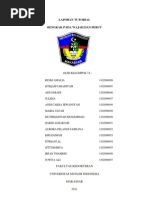 Download Laporan Wajah  Perut Bengkak by Muthmainnah Muhammad SN68300820 doc pdf