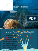 Destructive Fishing