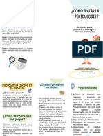 Triptico Preventivo