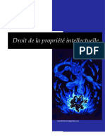 Droit de La Propriété Intellectuelle XD