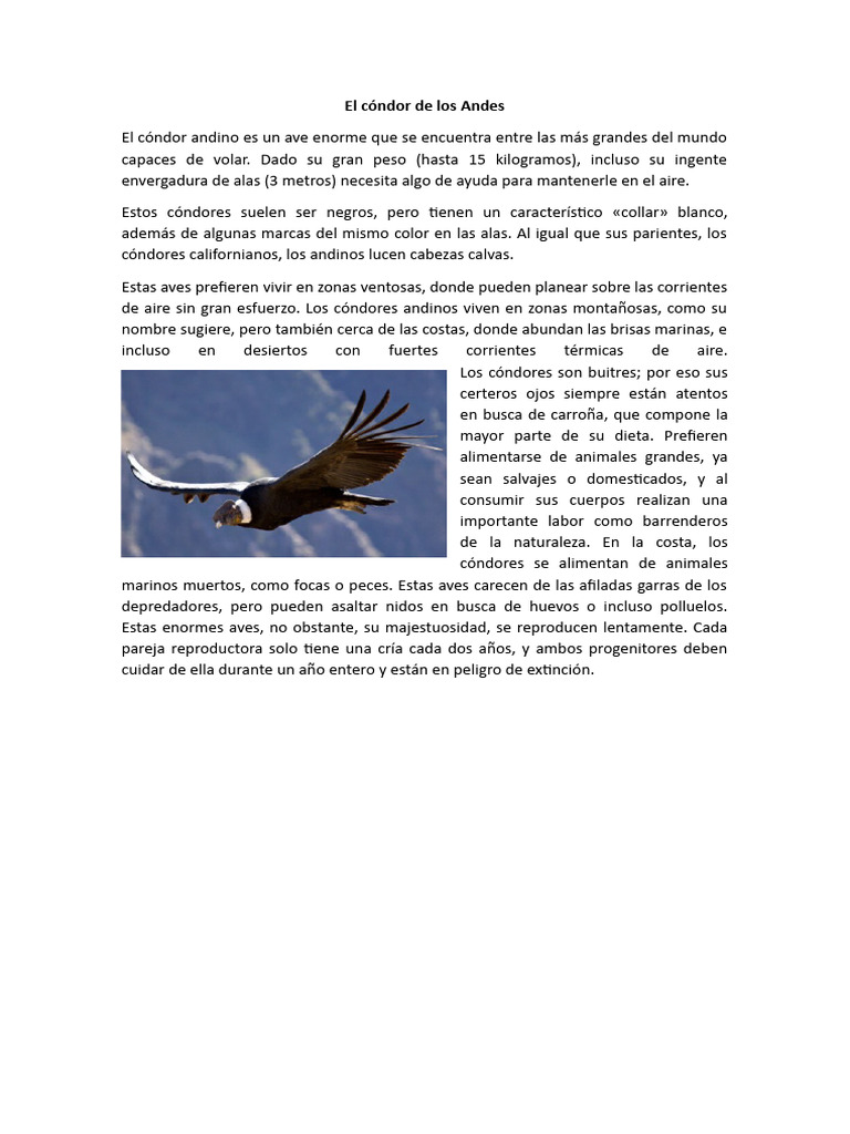 El Cóndor Andino - 2023 | PDF