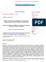 Morfo-Anatomía de Plántulas en Especies de Pachycereeae - ¿Hasta Cuándo Son Plántulas