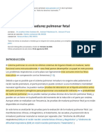 Evaluación de La Madurez Pulmonar Fetal - UpToDate