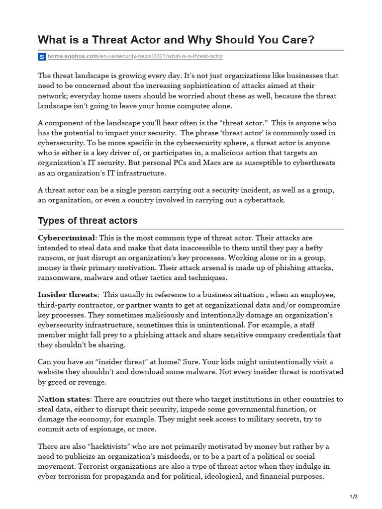 What Is A Threat Actor and Why Should You Care PDF Computer(06)
