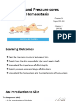 Skin and Pressure Sores