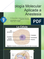 Biologia Molecular