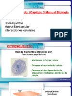 11 Resumen Citoesqueleto y Uniones