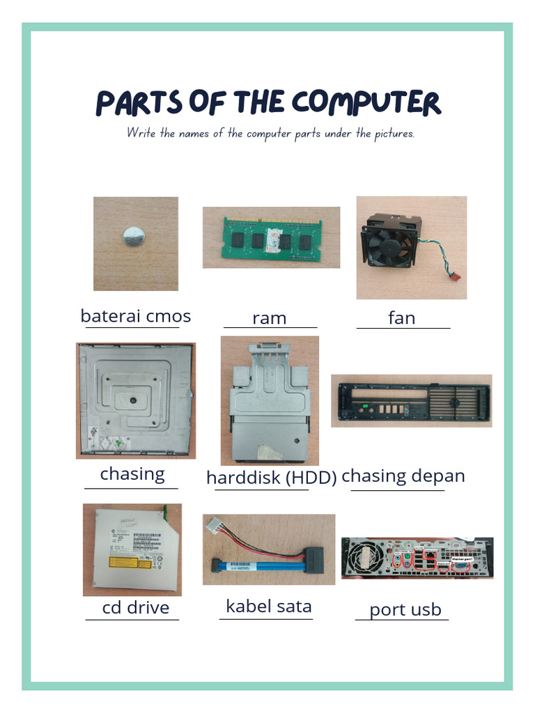 Green and Purple Parts of The Computer Activity Worksheet PDF